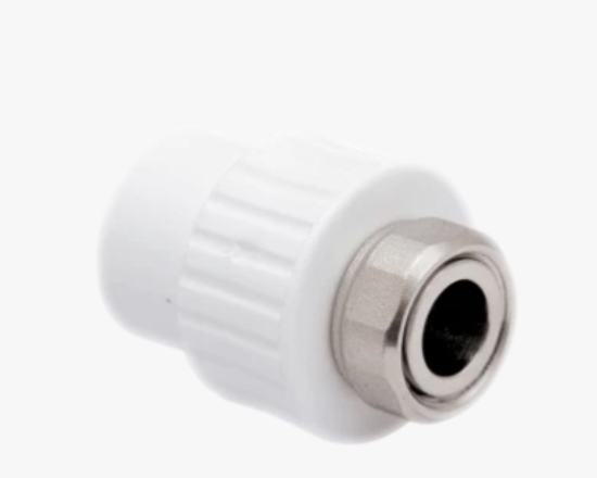 სურათი 10696 RTP ხრახნიანი ადაპტორი F 20x1/2